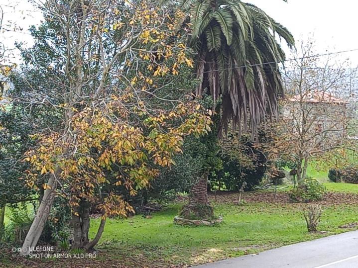 Appartamento Casa Chisco Cudillero Esterno foto