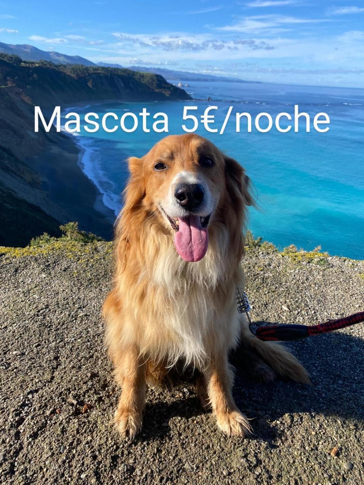 Appartamento Casa Chisco Cudillero Esterno foto